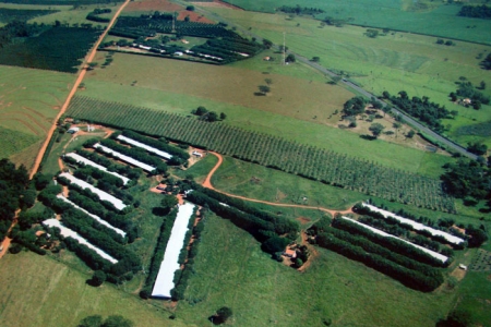 NOVA FBRICA DE RAO E UNIDADE DE INTEGRAO